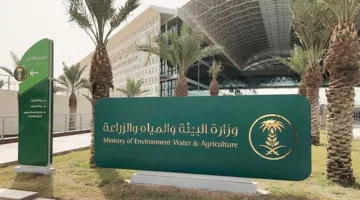 تطوير جاهزية تشغيل الحج في مكة لعام 1446هـ من خلال خطة شاملة وكوادر محلية