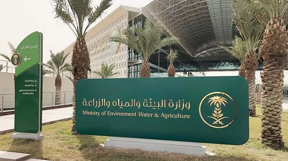 تطوير جاهزية تشغيل الحج في مكة لعام 1446هـ من خلال خطة شاملة وكوادر محلية تطوير جاهزية تشغيل الحج في مكة لعام 1446هـ من خلال خطة شاملة وكوادر محلية
