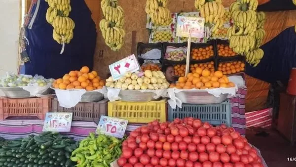 تعرف على أسعار الخضروات والفاكهة بأسواق الوادي الجديد
