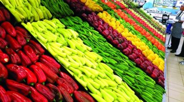 تعرف على&nbsp;أسعار الخضروات والفواكه والأسماك في قطر ليوم الاثنين