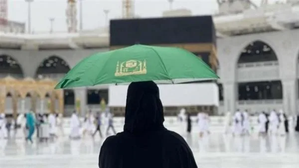 تعزيز التعاون بين مصر والسعودية لتحسين أنظمة الدفع الرقمية في خدمات الحج والعمرة تعزيز التعاون بين مصر والسعودية لتحسين أنظمة الدفع الرقمية في خدمات الحج والعمرة