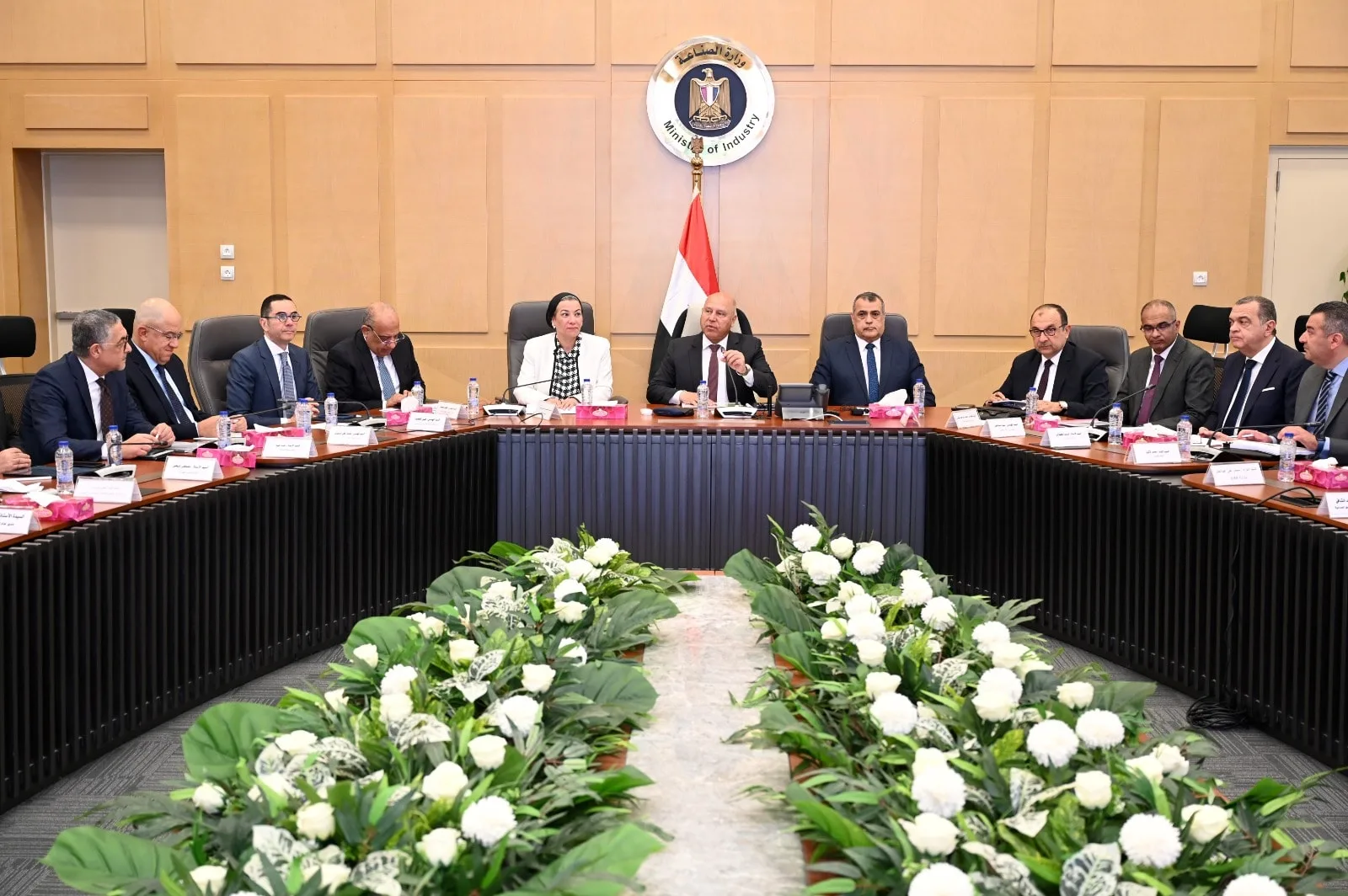 تعيين اللجنة الوزارية المعنية بالتنمية الصناعية لدراسة طلبات إنشاء المناطق الحرة الخاصة.