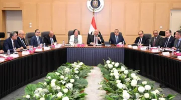 تعيين اللجنة الوزارية للتنمية الصناعية لدراسة طلبات إنشاء المناطق الحرة الخاصة.