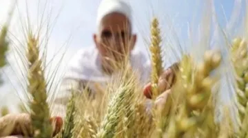 تغيرات مناخية في يوم واحد: 7 خطوات لحماية محصولك الزراعي من الظروف الجوية القاسية