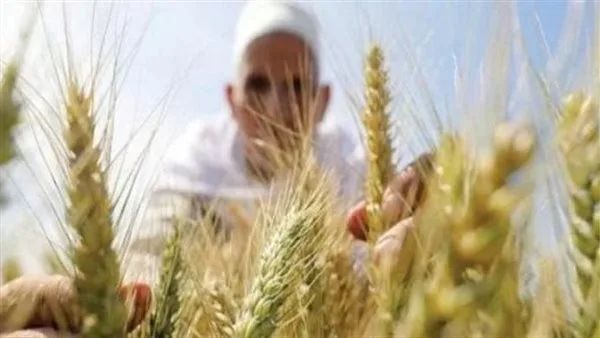 تغيرات مناخية في يوم واحد: 7 خطوات لحماية محصولك الزراعي من الظروف الجوية القاسية تغيرات مناخية في يوم واحد: 7 خطوات لحماية محصولك الزراعي من الظروف الجوية القاسية
