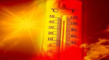 تغيرات مناخية: لماذا تتكرر الموجات الحرارية في ربيع 2025؟ (فيديو)