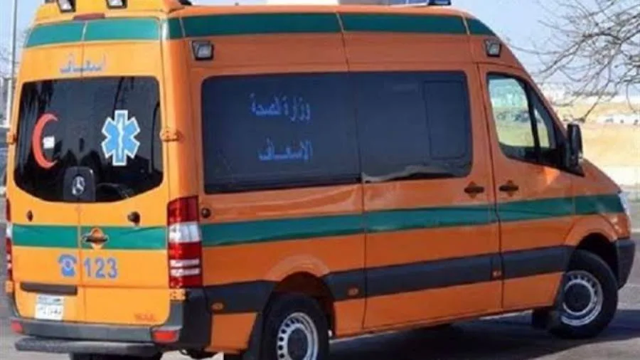 تفاصيل مقتل عجوز على يد حفيدتها داخل منزلهما بالشرقية