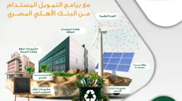 تفاصيل وفوائد برنامج التمويل المستدام من البنك الأهلي المصري