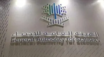 تقارير الإحصاء: زيادة ملحوظة في حركة المسافرين والشحن الجوي عبر مطارات المملكة في 2024