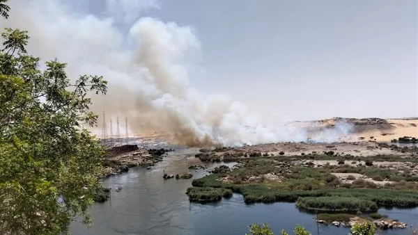 تقارير عن نشوب حريق في محمية “سالوجا وغزال” ومصدر يوضح التفاصيل تقارير عن نشوب حريق في محمية “سالوجا وغزال” ومصدر يوضح التفاصيل
