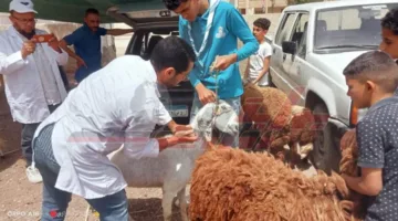 تقديم خدمات بيطرية بقرية أبو عليوة الشرقية