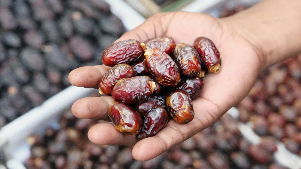 “تقرير الوزراء”: مصر تتصدر قائمة منتجي التمور عالميًا بإنتاج يبلغ 1.87 مليون طن “تقرير الوزراء”: مصر تتصدر قائمة منتجي التمور عالميًا بإنتاج يبلغ 1.87 مليون طن