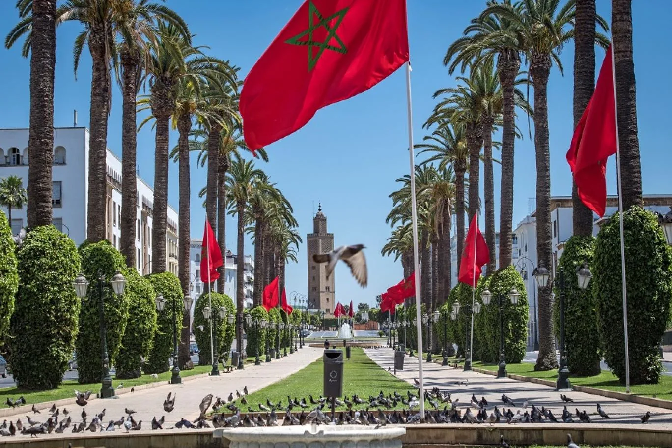 تقرير: تراجع عدد الفقراء في المغرب إلى 2.5 مليون شخص تقرير: تراجع عدد الفقراء في المغرب إلى 2.5 مليون شخص
