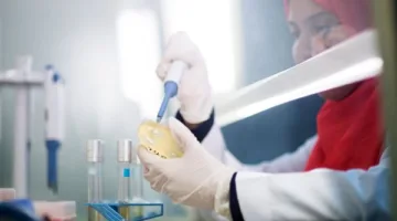 تقنيات متقدمة وأجهزة عالمية.. أوزبكستان تبرز إعجابها بالمزارع المصرية