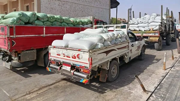 تموين الأقصر: توريد 3 آلاف طن قمح للشون والصوامع