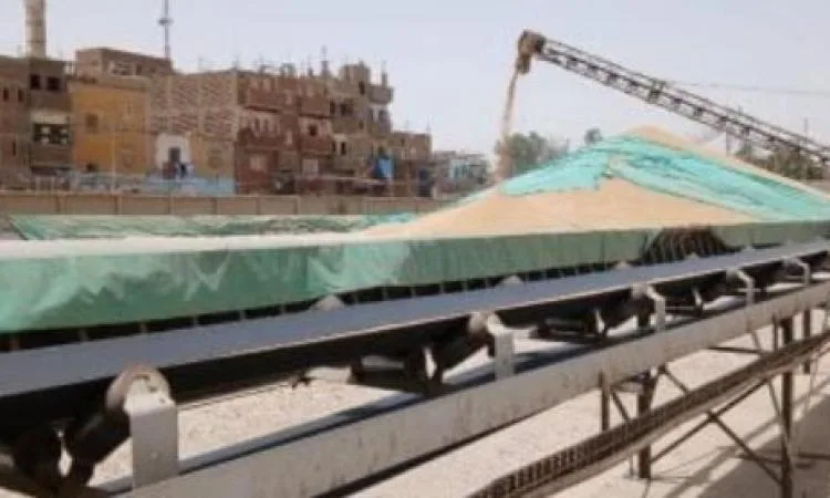 تموين الأقصر: توريد أكثر من 3 آلاف طن قمح لشون وصوامع إسنا وأرمنت