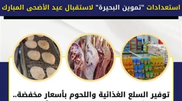 “تموين البحيرة” يجهز لاستقبال عيد الأضحى من خلال توفير السلع الغذائية واللحوم بأسعار مخفضة