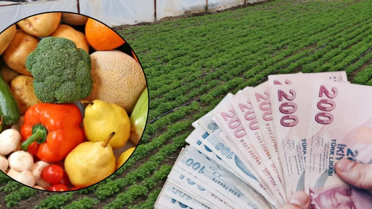 تنبيه: “الخراب يهدد الخضروات والفواكه في تركيا” تنبيه: “الخراب يهدد الخضروات والفواكه في تركيا”