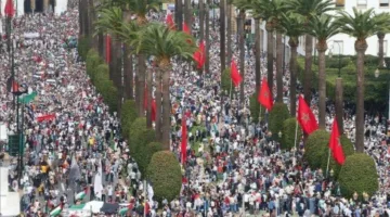 تنظيم 96 احتجاجاً في المغرب دعمًا لغزة