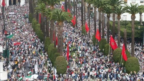 تنظيم 96 احتجاجاً في المغرب دعمًا لغزة تنظيم 96 احتجاجاً في المغرب دعمًا لغزة