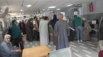 تنظيم العمليات في المراكز التكنولوجية لملف التصالح في بني سويف