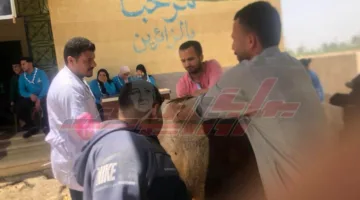تنظيم قافلة طبية بيطرية مجانية في سيدي سالم