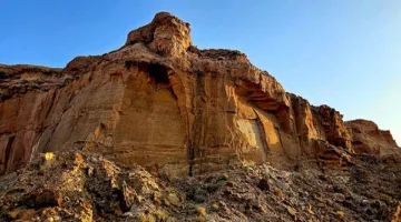 توثيق ولادة 74 حيوانًا بريًا في محمية الملك خالد