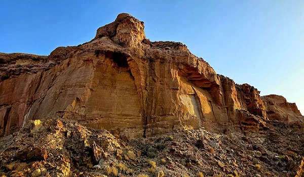 توثيق ولادة 74 حيوانًا بريًا في محمية الملك خالد توثيق ولادة 74 حيوانًا بريًا في محمية الملك خالد