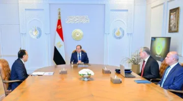 توجيهات فورية من الرئيس السيسي لضمان استقرار إمدادات الكهرباء في فصل الصيف