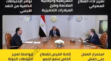 توجيهات مهمة من السيسي إلى رئيس الوزراء ومحافظ البنك المركزي المصري | إنفوجراف
