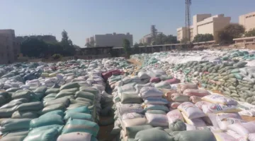 توريد 132 ألف طن من القمح المحلي إلى 28 موقع تخزين في أسيوط منذ بدء العمليات.