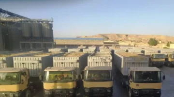 توريد 345 ألف طن من القمح للمخازن والصوامع في أسوان