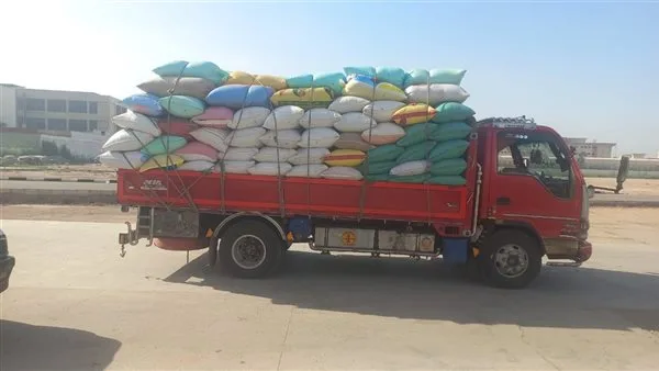 توريد 54169 طن قمح لشون وصوامع البحيرة منذ بدء الموسم