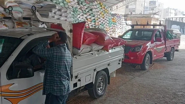 توريد أكثر من 74 ألف طن قمح لشون وصوامع البحيرة