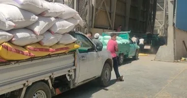 توزيع 21 ألف طن من القمح المحلي على صومعة عتاقة من قبل تموين السويس توزيع 21 ألف طن من القمح المحلي على صومعة عتاقة من قبل تموين السويس