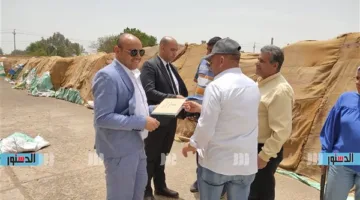 توصيل 149 ألف طن من القمح إلى صوامع وشون كفر الشيخ حتى الآن