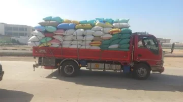 توصيل أكثر من 186 ألف طن من القمح في البحيرة حتى صباح اليوم