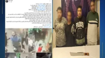 توضيح تفاصيل انتشار فيديو يظهر شخصًا يحمل سلاحًا أبيض ويقوم بالتلويح به وإلحاق الأضرار بإحدى السيارات وتخويف المواطنين في القاهرة.