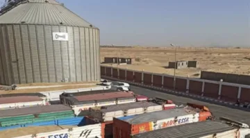 توفير 450 ألف طن من القمح في صوامع الوادي الجديد