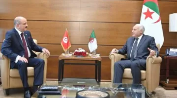 تونس والجزائر تتناولان تعزيز التعاون المشترك وإيجاد تسوية سياسية في ليبيا