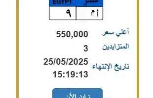 ثلاثة افراد يتنافسون للحصول على لوحة سيارة فريدة بسعر 550 ألف جنيه