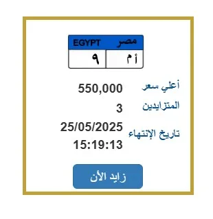 ثلاثة افراد يتنافسون للحصول على لوحة سيارة فريدة بسعر 550 ألف جنيه ثلاثة افراد يتنافسون للحصول على لوحة سيارة فريدة بسعر 550 ألف جنيه
