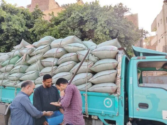 «ثمار الزراعة».. المنيا تسلم 266 ألف طن من القمح وتستمر في استقبال المحصول «ثمار الزراعة».. المنيا تسلم 266 ألف طن من القمح وتستمر في استقبال المحصول