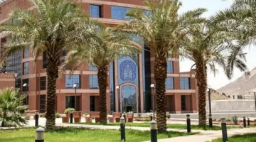 جامعة طيبة: فتح باب التسجيل للدراسات العليا للفصل الأول حتى 14 يونيو القادم