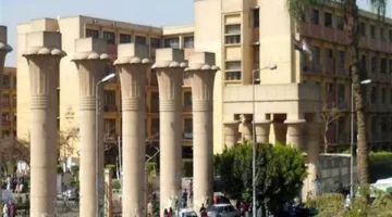 جامعة عين شمس تكشف عن الوثائق المطلوبة للوظائف الجديدة المتاحة