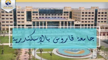 جامعة فاروس تبحث عن أعضاء هيئة تدريس لكليتين – التفاصيل كاملة