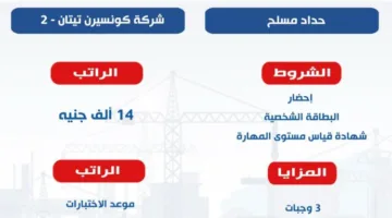 جبران: 600 وظيفة متاحة كـ “حداد مسلح” في مشروع محطة الضبعة النووية
