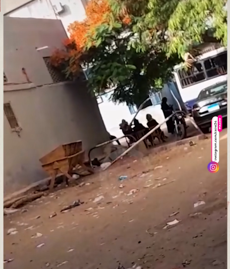 جثمان حفيد نوال الدجوي يصل إلى مسجد العائلة استعدادًا لمراسم دفنه. جثمان حفيد نوال الدجوي يصل إلى مسجد العائلة استعدادًا لمراسم دفنه.