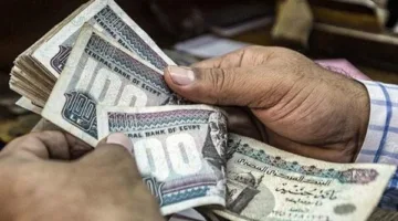 جدول الرواتب الجديد لأعضاء هيئة التدريس في الجامعات: زيادة حافز الجودة والعلاوة السنوية والحافز الإضافي