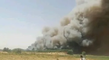 جهود كبيرة للحد من حريق في غابات الجبلاو بقنا